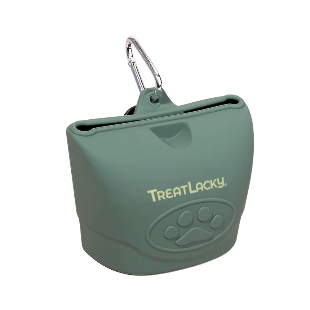 TreatLacky Treat Pouch